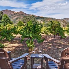 Sonoma Valley Vines and Views-New Listing Promotion!
